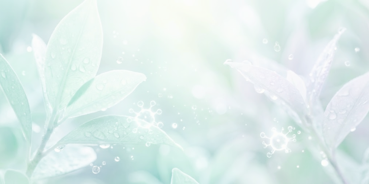 届く場所まで、届ける。